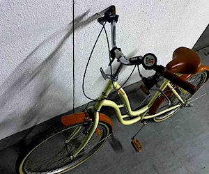 Bicicleta vintage de paseo