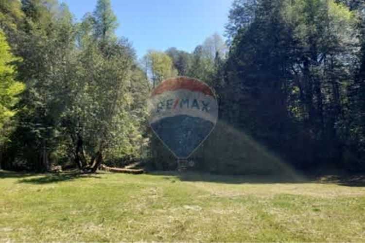 Imagen de galería