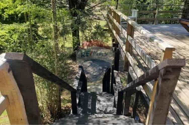 Imagen de galería