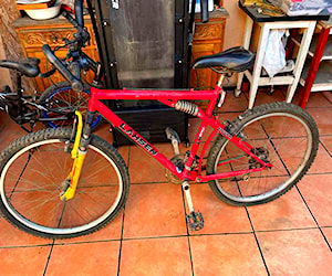 Bicicleta de montaña