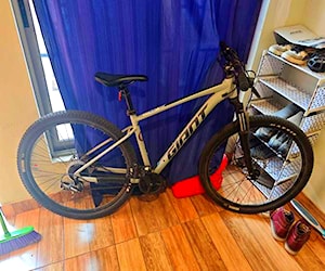 bicicleta GIANT aro 29