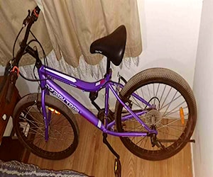 Bicicleta mountain bike