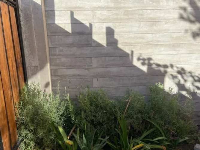 Imagen de galería