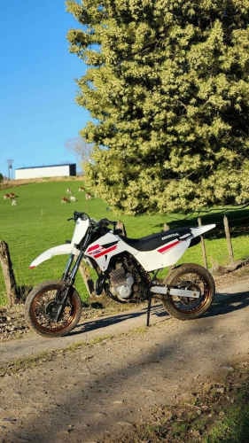 Honda Tornado XR 293