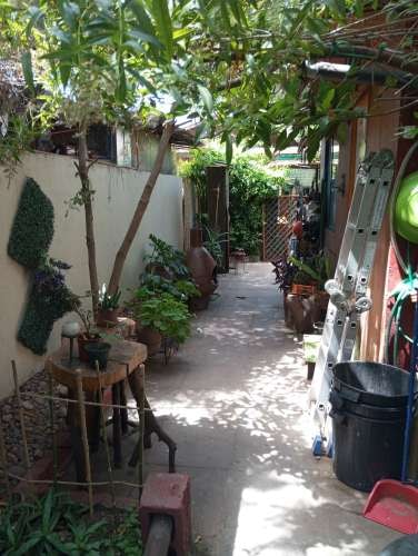 Imagen de galería