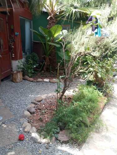 Imagen de galería