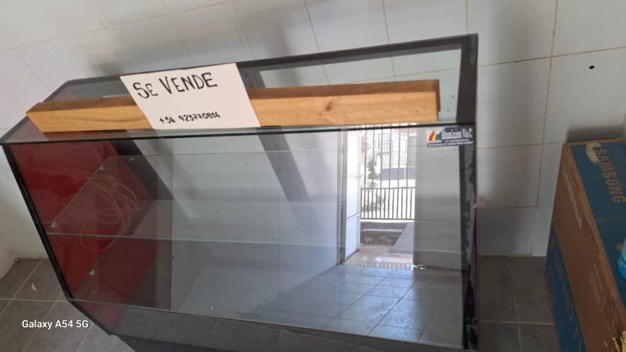 Imagen de galería
