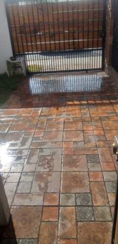 Imagen de galería