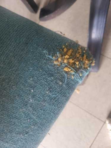 Imagen de galería