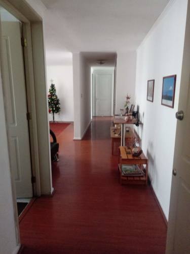 Imagen de galería
