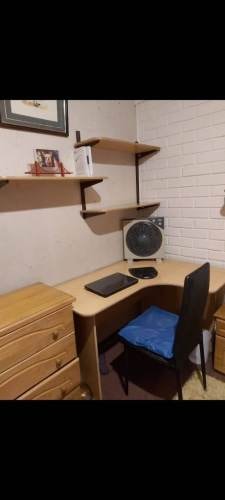 Imagen de galería