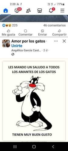 Imagen de galería