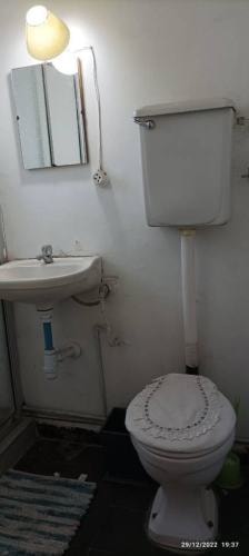 Imagen de galería