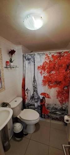 Imagen de galería