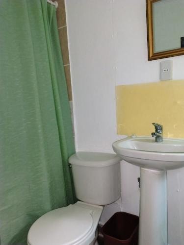 Imagen de galería