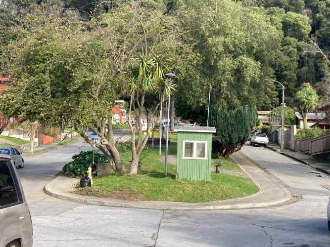 Imagen de galería