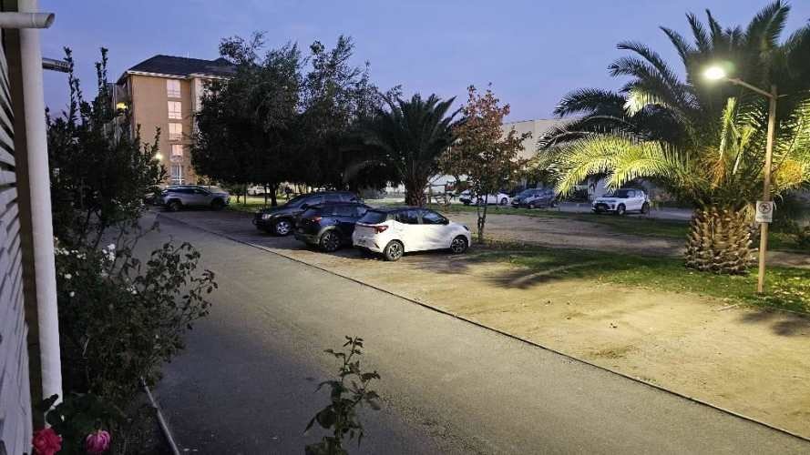 Imagen de galería