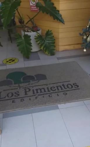 Imagen de galería