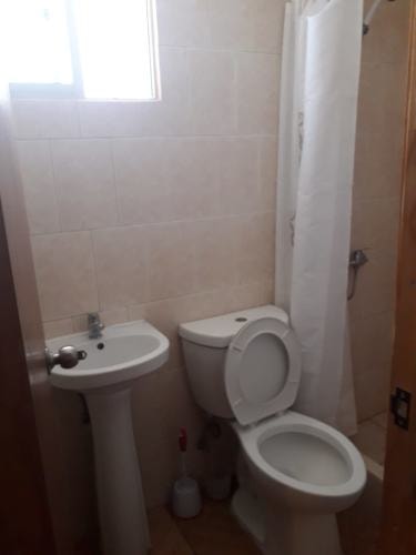 Imagen de galería