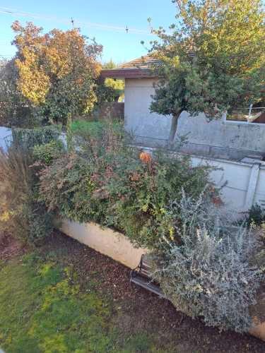 Imagen de galería