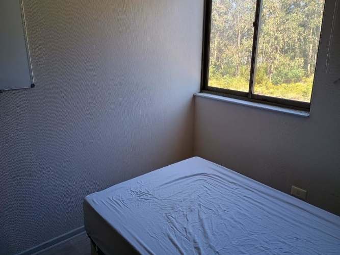 Imagen de galería