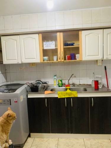 Imagen de galería