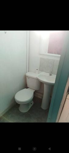 Imagen de galería
