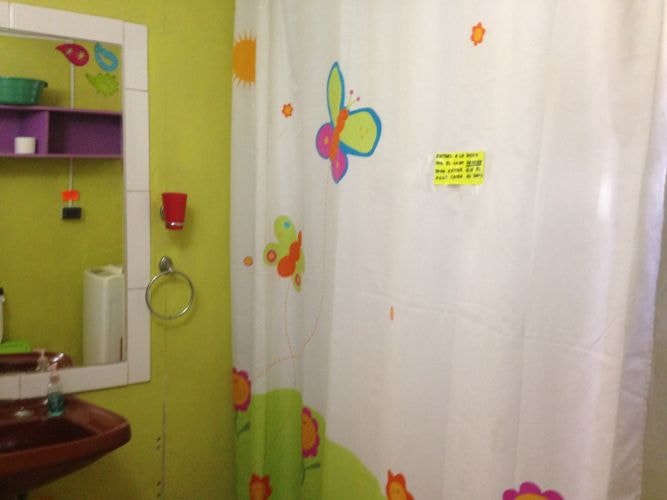 Imagen de galería