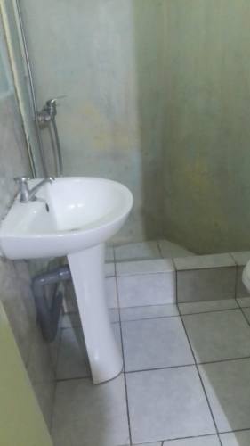 Imagen de galería