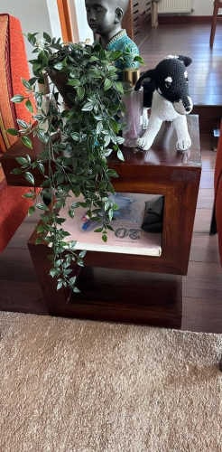 Imagen de galería