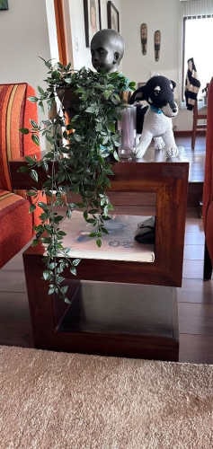 Imagen de galería