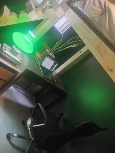 Imagen de galería