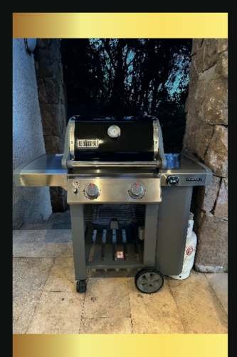 <p>Parilla Weber Genesis</p>