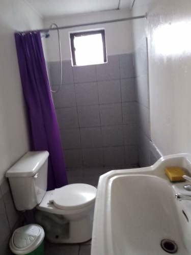 Imagen de galería