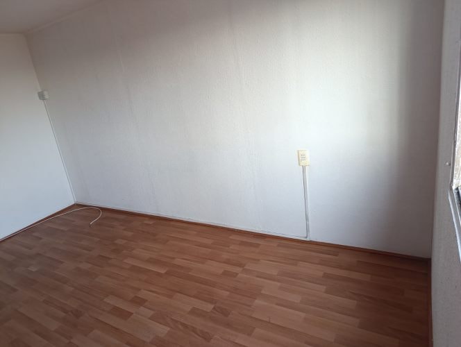 Imagen de galería