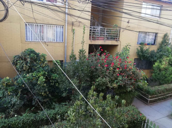 Imagen de galería
