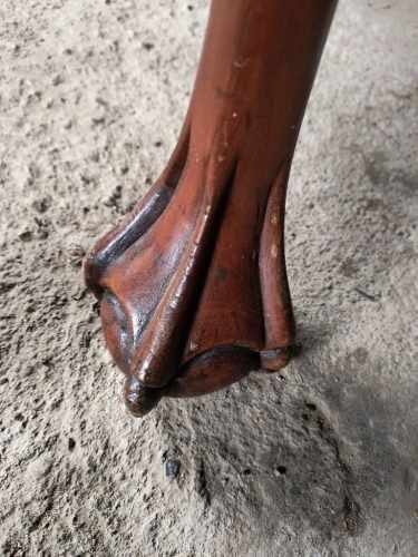 Imagen de galería