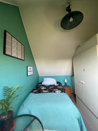 Imagen de galería
