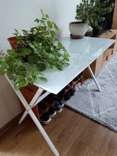 Imagen de galería