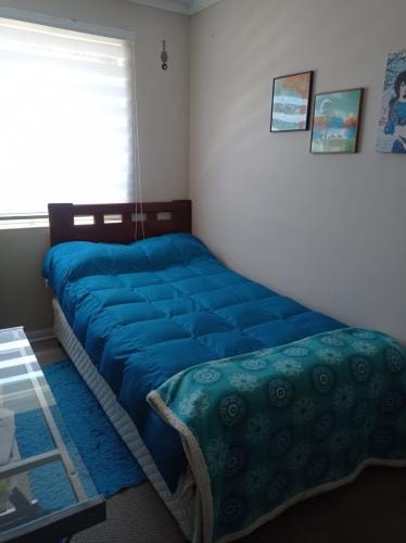 <p>Amplio dormitorio equipado para estidiante Concepcion</p>
