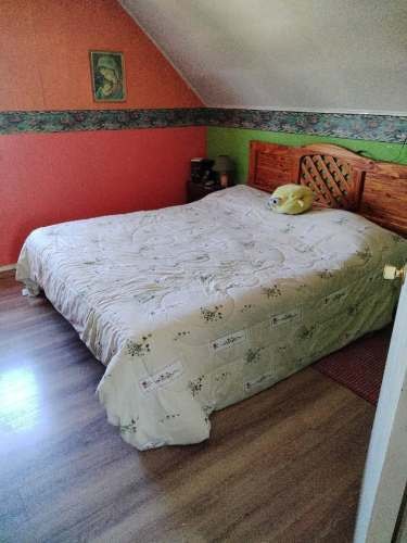 Imagen de galería