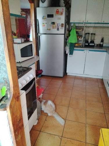 Imagen de galería
