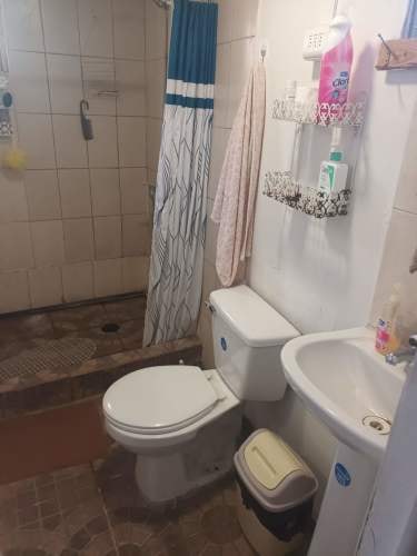 Imagen de galería