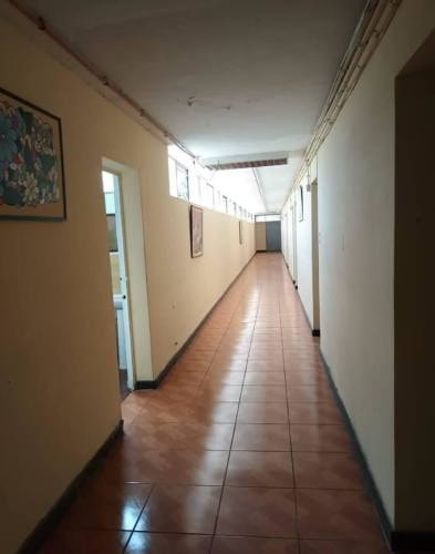 Imagen de galería