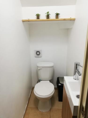 Imagen de galería