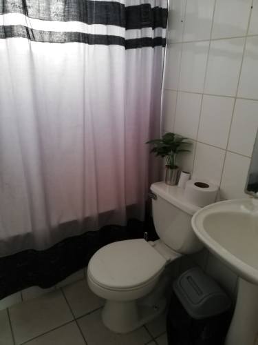 Imagen de galería