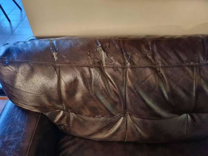 Imagen de galería