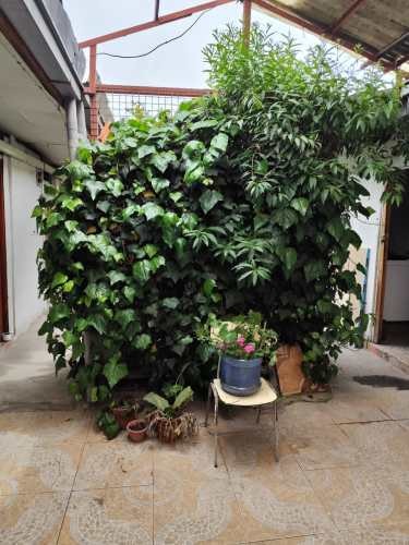 <p>PIEZA ARRIENDO</p> image