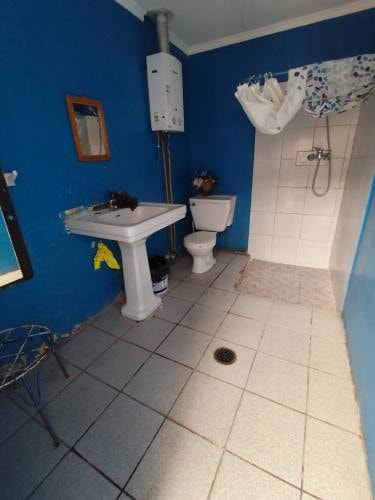 Imagen de galería