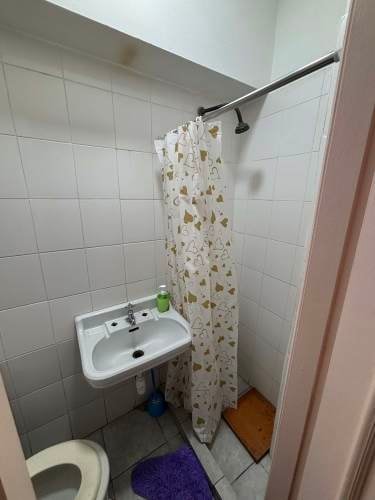 Imagen de galería